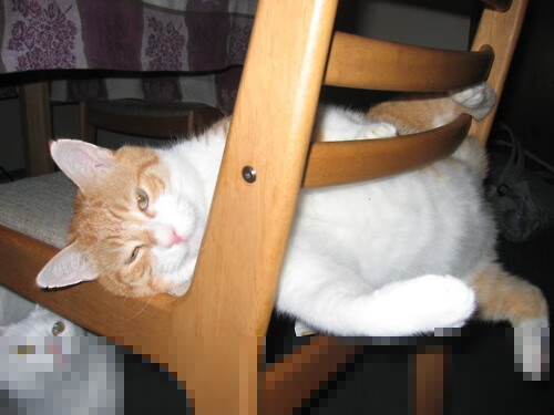 隔空对决！爱德华兹单节狂飙20分打崩北京防线，森林狼三节定胜负